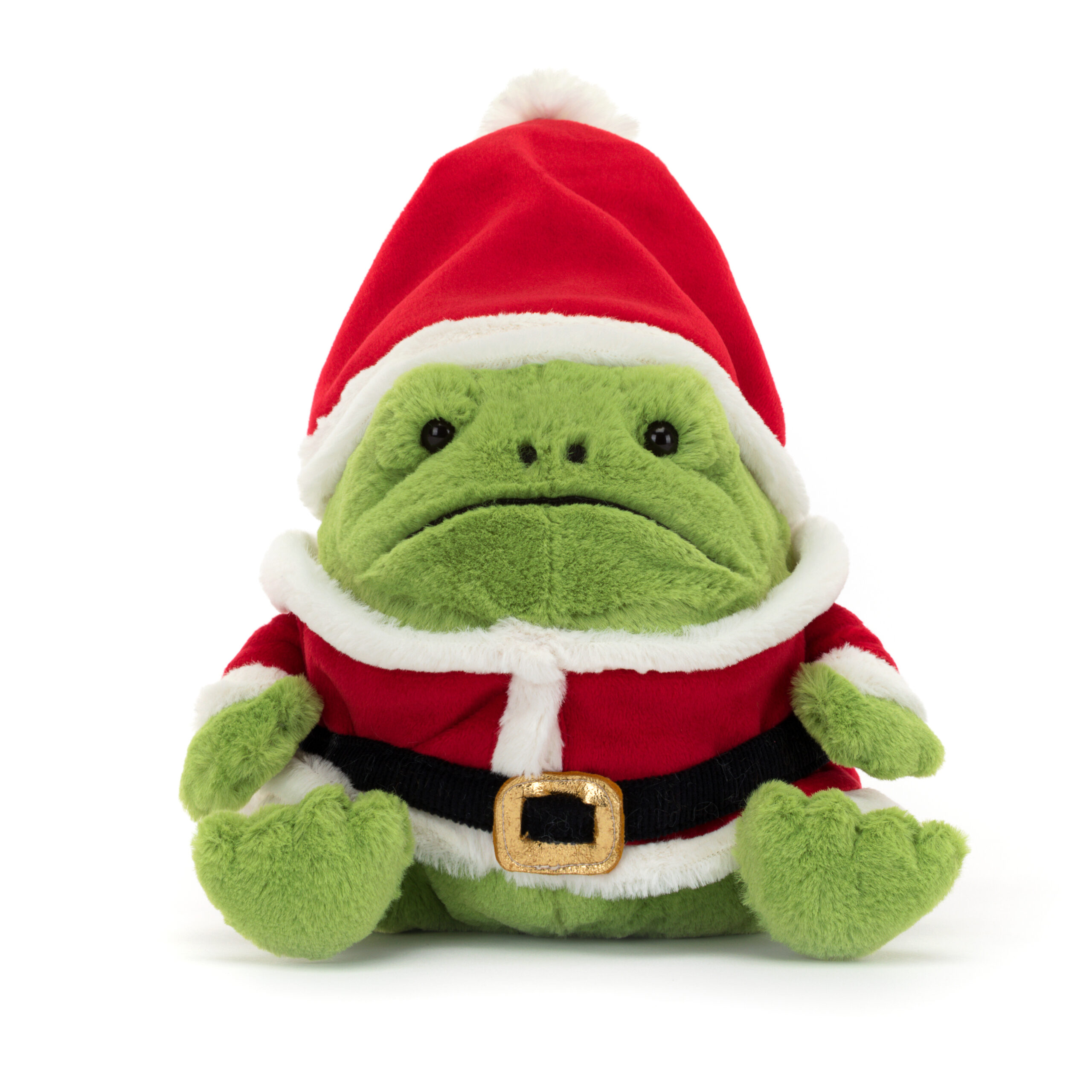 Santa Ricky Rain Frog lilylimes